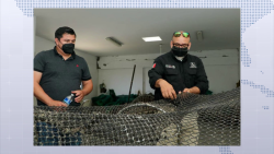 Avanzan cursos para buen uso de excluidores de tortugas