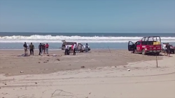 Localizan cuerpo de joven sin vida en la Isla de la Piedra