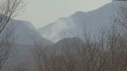 Logran con 209 brigadistas parar el incendio más grande de los últimos años en Álamos.