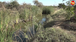 Limpiarán canal de Villa Verde para evitar inundaciones