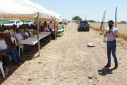 Participa ITSON en Plataforma de Investigación para agricultura sustentable.