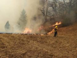 Intensifican combate a cuatro incendios forestales en Sonora.