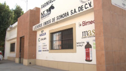 Mantienen lecheros de la  Asociación de Productores del Valle del Yaqui baja producción.