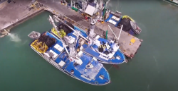 Fija Agricultura volumen de captura de atún aleta azul para 2022