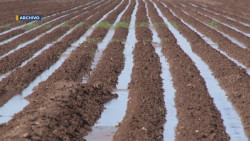 Ya comenzaron las sanciones para los agricultores que desperdician el agua en riego.