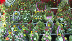 Esperan buenas ventas de flores, aunque el producto aumentó de precio.