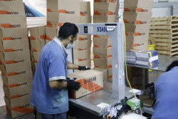 165 empresas se han registrado  ELSSA