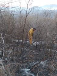 Incendios forestales en Cajeme y Yécora están controlados