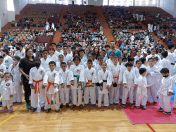 39 medallas para Mazatlán en Karate Do