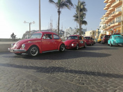 Un éxito el desfile Carnalazo Vochero 2022