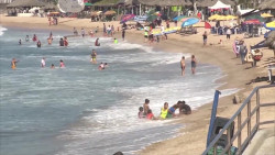 5 rescates y dos atenciones por mantarrayas es el saldo del fin de semana.