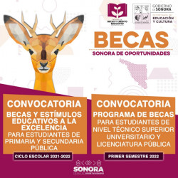 Ya están disponibles los resultados del programa de becas “Sonora de Oportunidades”
