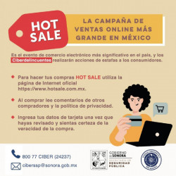 Campaña mas grande de ventas en México expone a los ciberdelincuentes a estafar a compradores