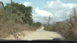 Sequía ya afecta a agricultores de Mazatlán