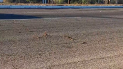 Lanzan poncha llantas en calles de  Guaymas, Empalme y San Carlos al sur de Sonora