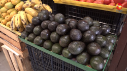 "Oro verde": el aguacate alcanza los 120 pesos el kilo