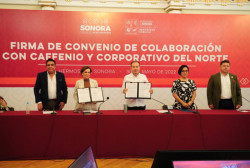 Sociedad, empresas y gobierno debemos trabajar juntos para cortar de tajo la violencia familiar: Alfonso Durazo