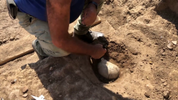 Dan a conocer avances sobre hallazgo prehispánico en Mazatlán