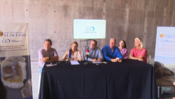 Nuevo Acuario organiza actividades para cuidar de los océanos