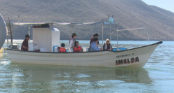 Bajan los paseos en lancha en el puerto de Topolobampo reportan prestadores de servicios