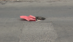 ¡Cuidado! Alcantarilla destapada en Alameda