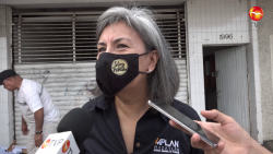 Reconoce IMPLAN falta de áreas verdes en Mazatlán