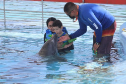 Tras dos años de ausencia, vuelven las terapias al Delfinario Sonora