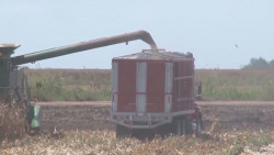 Llaman a productores  agrícolas a no quedar fuera de la agricultura por contrato