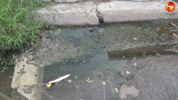 Derrame de aguas negras en Villa Galaxia