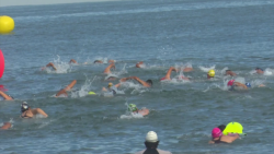 Cumplen Nadadores con la 6ta Puntuable en Playa Norte