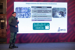 65 laboratorios asegurados  en Sinaloa