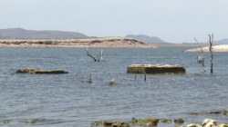 Resurge el pasado tras sequía en Cajeme, se dejan ver ruinas de un antiguo pueblo