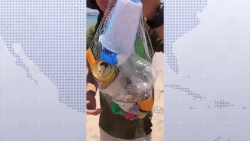 Se hace viral la contaminación en la Isla de Venados de Mazatlán