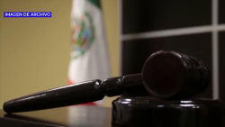 Notarios buscan facultades para jurídicas