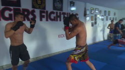 Tigers Fighting regresan a la acción este 30 de junio