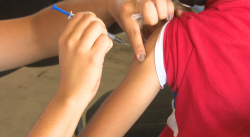 Continúa sin contratiempos la vacunación a menores de 5 a 11 años de edad en Los Mochis