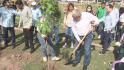 Inicia programa de reforestación "Plantemos Vida