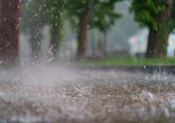 Junio tuvo un promedio de precipitaciones mensuales de 18.7 milímetros