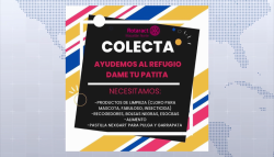 Piden ayuda para el refugio "Dame tu patita"