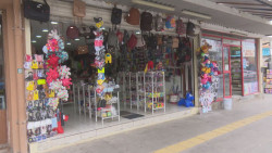 Sin las Ceprofies se fueron inversiones de Culiacán