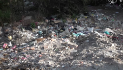 Grandes cantidades de basura en los esteros de Mazatlán