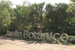 Invita Jardín Botánico de Culiacán a participar en actividades