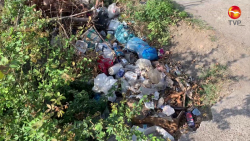 Usan terreno como bote de basura en la colonia Palos Prietos