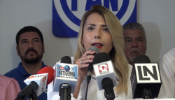 CFE es deficiente en su trabajo: Roxana Rubio