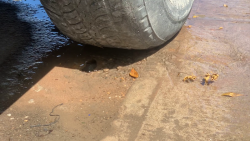 Desde hace una semana esperan que arreglen la fuga de agua potable