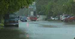 Reiteran llamado a no tirar basura para evitar inundaciones
