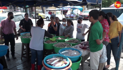 Se mantienen bajas las ventas de camarón