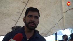 Se buscará apoyo para las empacadoras de camarón