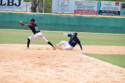 JAPAC frente a Yankees será la final de la Liga de Beisbol JAPAC