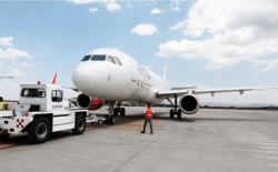Detiene vuelo tras sufrir crisis nerviosa